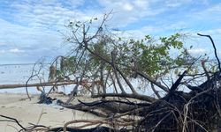 Pulau Pari Terancam Hilang, Walhi-Dompet Dhuafa Serukan Penyelamatan 