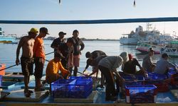 Guru Besar IPB Kembangkan Lampu LED untuk Tangkap Ikan di Laut tanpa Umpan