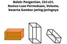 Balok: Pengertian, Ciri-ciri, Rumus Luas Permukaan, Volume, beserta Gambar Jaring-jaringnya