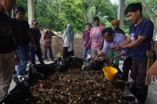 Sistem Agrosilvopastura untuk Ketahanan Pangan Masyarakat Adat Kaluppini