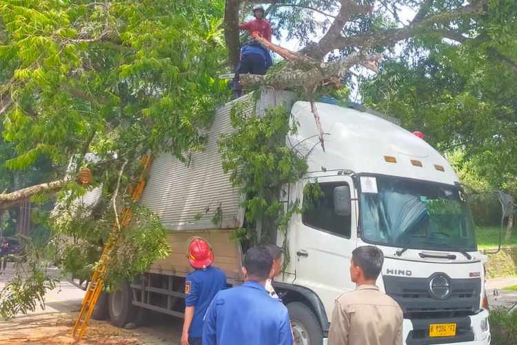 Pohon Tumbang di Jalan Raya Bogor-Sukabumi Timpa 2 Kendaraan, Dua Orang Terluka