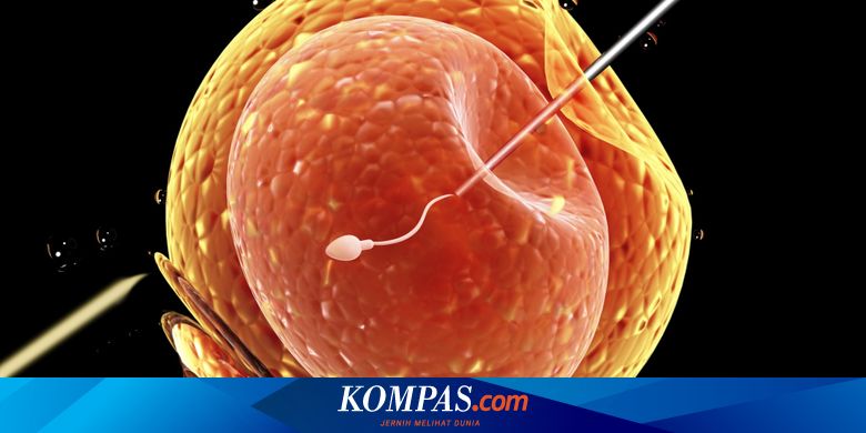 Bank Sperma di China Kekurangan 'Donasi' akibat Wabah Virus ...