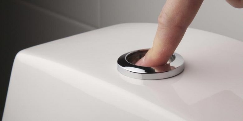 Ilustrasi tombol flush toilet