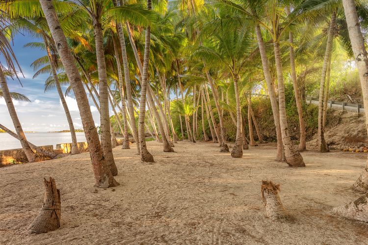 Ilustrasi Pantai Sousu di Pulau Wangi-Wangi di Wakatobi, Sulawesi Tenggara. IPB University mendampingi MHA Kadie Kapota di Wakatobi mengembangkan sea farming untuk budi daya ikan kerapu.