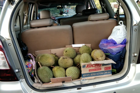 Saat Mudik Jangan Bawa Makanan dengan Bau Menyengat, Kabin Bisa Apak