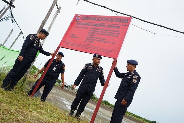Izin Belum Komplet Hingga Pakai Obat Ikan Ilegal, 4 Tambak Udang di Kalbar Disegel PSDKP
