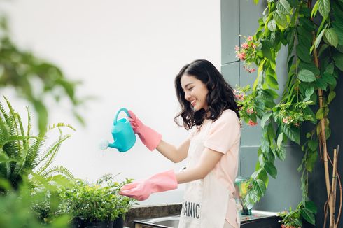 Ini 5 Manfaat Berkebun bagi Kesehatan, Apa Saja?