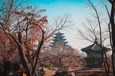Jepang Sumbang Turis Terbanyak ke Korea Selatan per Mei 2023
