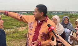 Suahasil Jadi Menkeu, Ara Harap Hibah Lahan Meikarta Dipercepat