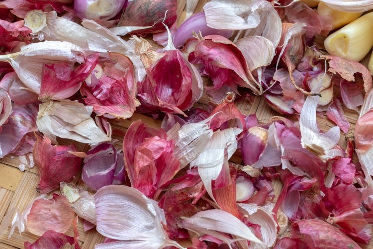 Ilustrasi kulit bawang merah. Kulit bawang merah dapat dimanfaatkan untuk membuat pupuk dan insektisida bagi tanaman. 