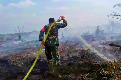 Kebakaran Hutan di Rokan Hulu Riau Tak Kunjung Padam, Digempur dari Darat dan Udara