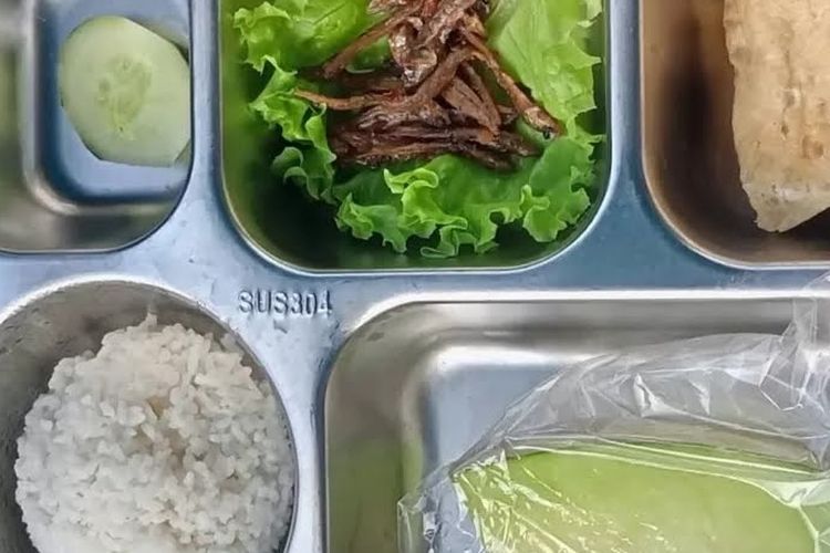 MBG lauk ikan teri goreng di Banyuwangi yang menuai protes warga. 