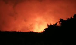 Karhutla dan Abu Vulkanik Berisiko Ganggu Perdagangan Indonesia