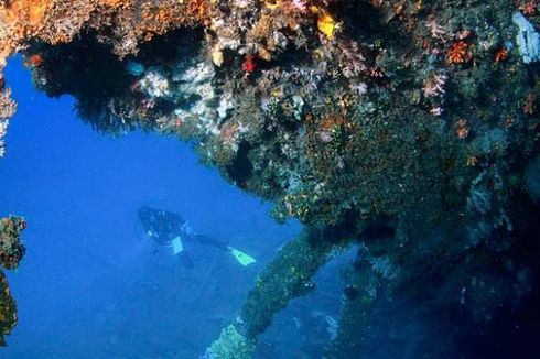 Cerita di Balik Destinasi Wisata Selat Lembeh dan Cagar Alam Tangkoko