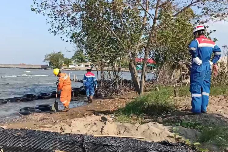 Petugas dari PT Pertamina Indramayu saat mengecek dan membersihkan butiran minyak yang mencemari pantai Balongan, Indramayu, Jawa Barat.