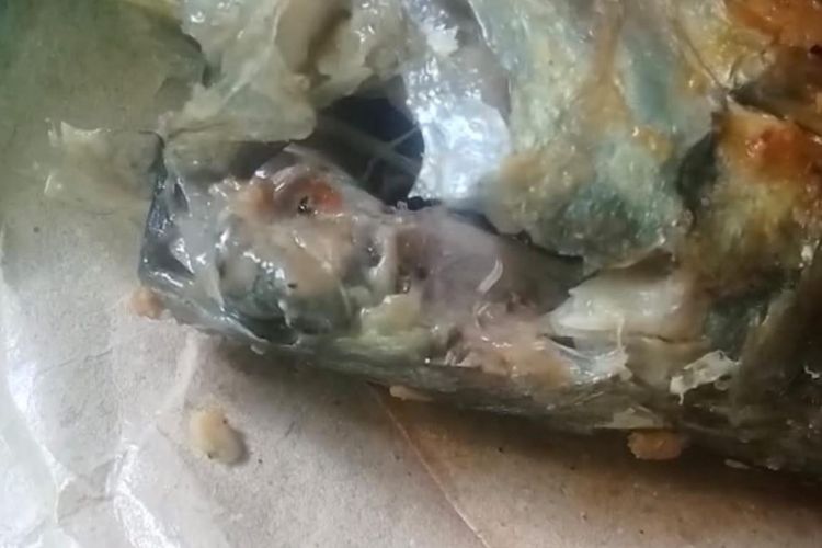 MBG Ikan Pindang Berulat Viral di Pamekasan, SPPG Angkat Bicara