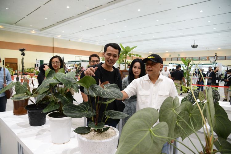 Menteri Koperasi dan UKM Teten Masduki mengunjungi pameran tanaman hias Floriculture Indonesia International (FLOII) Convex 2022 di Hall A, Jakarta Convention Center, Jakarta, Sabtu (15/10/2022).
