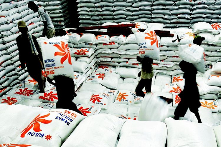 Pekerja mengangkut beras impor dari Vietnam ke Gudang Bulog di Jakarta, Kamis (20/10). Hingga awal Oktober 2011, Perum Bulog telah merealisasikan impor beras sebanyak 536.000 ton. 