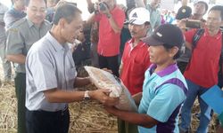 Ini Pentingnya Kegiatan Kawasan Mandiri Pangan