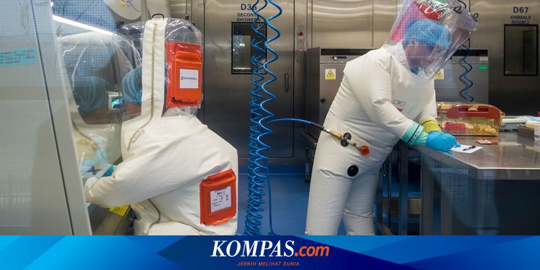 Desakan WHO, Penyebaran Virus Corona, dan Tingginya Kasus Covid-19 di AS...