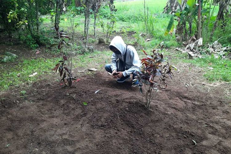 Seorang warga sedang mengunjungi makam para korban meninggal akibat miras oplosan di Kampung Cibangun, Desa Tenjonagara, Kecamatan Cigalontang, Kabupaten Tasikmalaya, Selasa (5/10/2021).