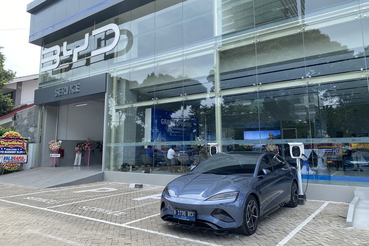 BYD Harmony Slipi