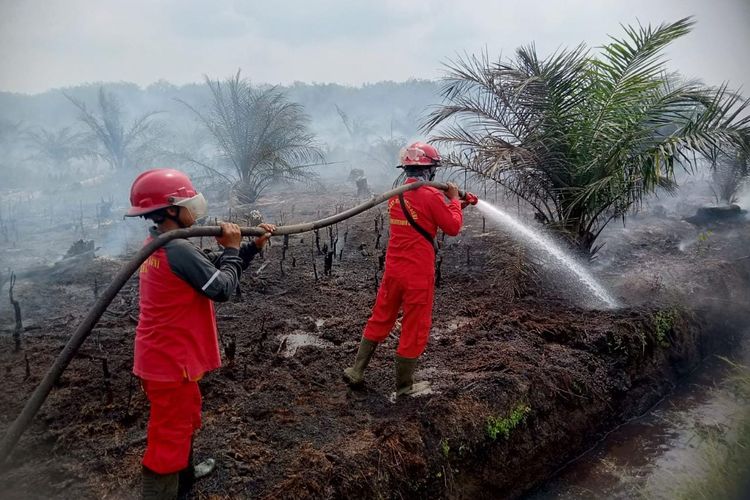 Tim Manggala Agni memadamkan api karhutla di Desa Benteng Hulu, Kecamatan Mempura, Kabupaten Siak, Riau, Selasa (5/9/2023).