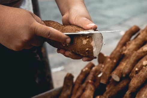 Harga Beras Mahal, Omzet Pedagang Singkong di Lebak Melonjak Tajam