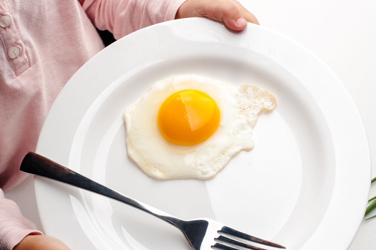 Ilutrasi makan telur
