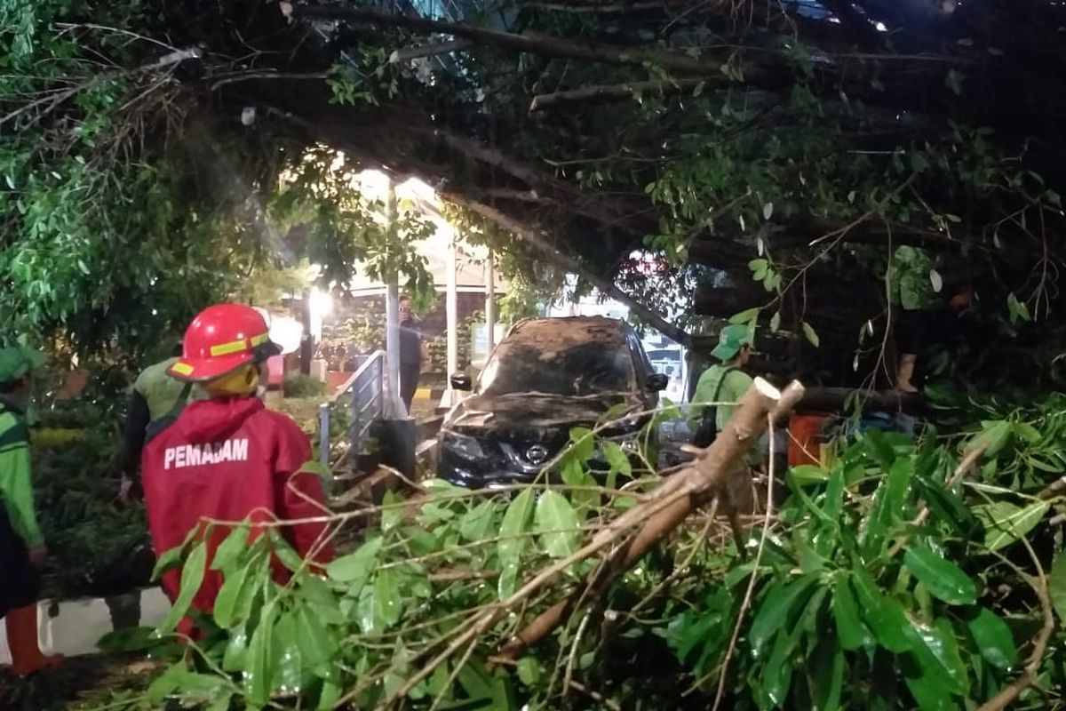 Sebuah pohon di dekat Gedung Cyber Tower di Jalan Setiabudi, Karet Kuningan, Setiabudi, Jakarta Selatan tumbang pada Jumat (23/4/2021) sekitar pukul 18.20 WIB.