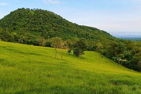 Wisata ke Bukit Waruwangi Serang, Bisa Trekking di Gunung Rangkong