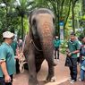 Parade Satwa Meriahkan Natal dan Tahun Baru di Bandung Zoo