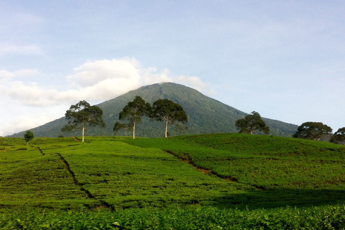 Gunung Dempo kota Pagaralam, Sumatera Selatan.