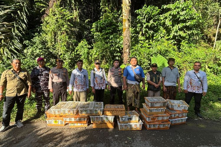 Penyelundupan 1.756 Burung Kicau Digagalkan di Pelabuhan Padangbai Bali, Disembunyikan dalam Boks
