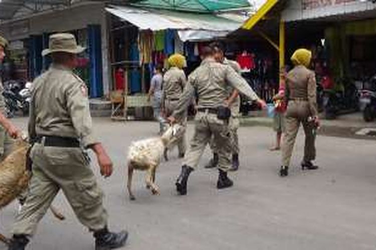 Petugas Satpol PP Kota Bima menangkap kambing  yang berkeliaran di pasar kaki lima, Rabu (23/11/2016)