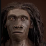 Jenis-jenis Homo Erectus di Indonesia