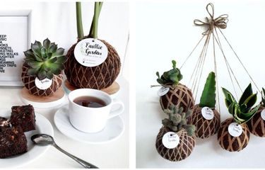 Kokedama, Solusi Kekurangan Lahan Hijau di Rumah Halaman all ...