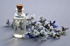Fragrance Expert: Menghirup Aroma Lavender Bisa Memberikan Ketenangan