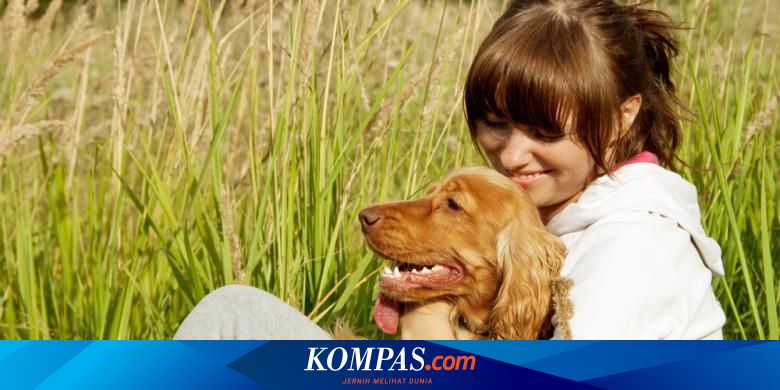 Pelihara Anjing Dan Kucing Bikin Sehat Dan Happy