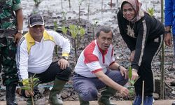 Dukung Program Riau Hijau, Gubernur Syamsuar Tanam 200.000 Bibit Mangrove di Bengkalis