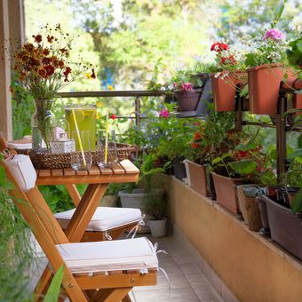 Ilustrasi balkon menjadi tempat merawat tanaman hias.