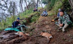 4 Pemburu Satwa Liar di TN Merbabu Terancam 15 Tahun Penjara