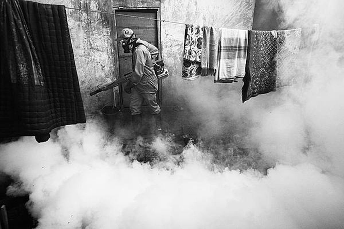 Pekerja melakukan pengasapan untuk mencegah penyakit demam berdarah dengue yang penyebarannya melalui nyamuk Aedes aegypti di RT 7 RW 7 Kelurahan Pondok Kelapa, Kecamatan Duren Sawit, Jakarta Timur, Senin (10/3). Tercatat 96 kelurahan di DKI Jakarta terserang DBD.  