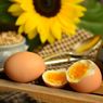 4 Alasan Telur Jadi Menu Andalan Diet DEBM