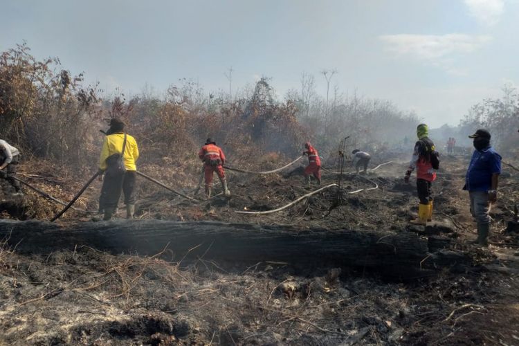 Tim Satgas Karhutla melakukan pemadaman api di Kelurahan Terkul, Kecamatan Rupat, Kabupaten Bengkalis, Riau, Kamis (21/2/2019).