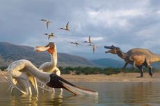 Eks KSAL soal Rencana Penambahan Koarmada Baru: Alutsistanya Disiapkan Dulu