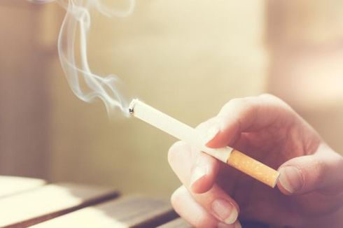 Guru Besar UI: Perusahaan Harus Larang Pegawainya Merokok pada Jam Kerja