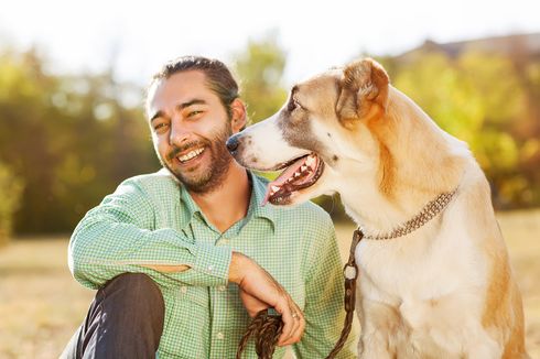 Terancam Bahaya, Studi Jelaskan Insting Anjing Selamatkan Tuannya