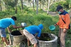 Nyamuk dari Ladang Pertanian Diduga Sebabkan Puluhan Orang di Kulon Progo Terserang DBD