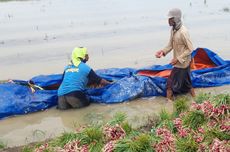 Presiden Prabowo dan Petinggi Uni Emirat Arab Dijadwalkan Resmikan RS di Solo
